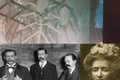 For 50 Years, a Museum’s Wax Figure Amazed Visitors—Until a New Curator Discovered It Was a Missing Man Preserved Under Glass