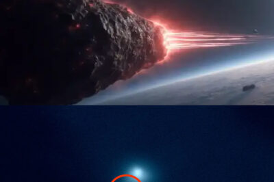 In a groundbreaking revelation, five mini probes have been detected near the interstellar comet 3I/ATLAS, supporting Avi Loeb’s theories about extraterrestrial exploration and challenging our understanding of interstellar phenomena. This discovery opens new avenues for research and speculation about life beyond Earth.