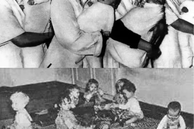 THE LEBENSBORN PROGRAM: The Shocking and Dark Truth About ‘Racially Pure’ German Women Who Bore Children of the ‘Superior Race’ for Hitler