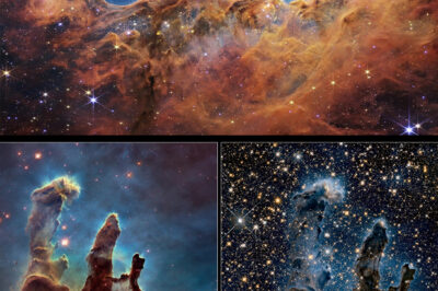 A Groundbreaking Discovery: How VISTA, the Powerful Infrared Telescope, is Unveiling Hidden Cosmic Secrets in Previously Unobservable Regions of the Universe and Transforming Our Understanding of Star Formation and Galaxy Evolution.