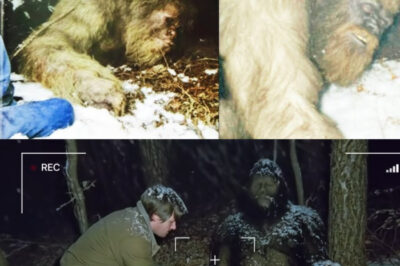 ‘WE HAD TO HELP HIM’ Park Ranger Finds Injured Bigfoot and Saves Him – Sasquatch Encounter Story