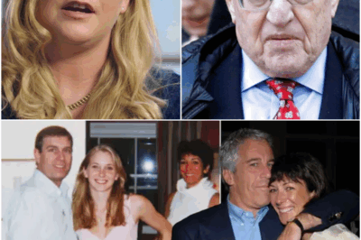 They believed her story was over — but it was only the spark