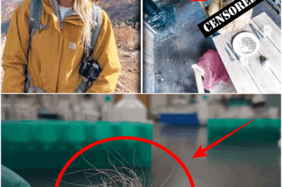 Woman Vanished in Colorado Mountains – 7 Years Later Found in CABIN, TABLE SET FOR TWO…