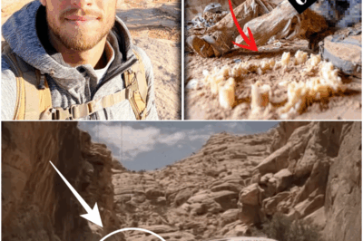 Tourist Vanished in Utah Canyon — 4 Years Later Found Inside a Cave With MELTED CANDLES NEARBY…