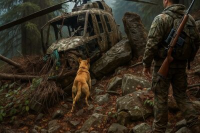 Hunter Found A Crashed Helicopter In The Mountains — The Moment He Opened The Door, He Regretted It