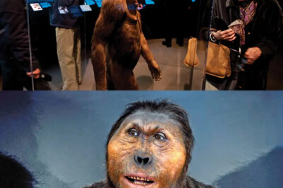 Imagine a time tens of thousands of years ago when Homo sapiens were not the only humans walking the Earth, but shared the planet with Neanderthals, Denisovans, tiny “hobbits” called Homo floresiensis, mysterious Homo naledi, and the adventurous Homo erectus—each species carving out its own way of life, mastering survival, crafting tools, creating art, and influencing our very genes. What secrets did they hold? How did they vanish from the world, leaving us as the last branch of a vast human family tree? Discover the astonishing untold stories that still echo in our bones and DNA today.