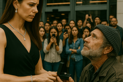 “Please Marry Me,” She Said