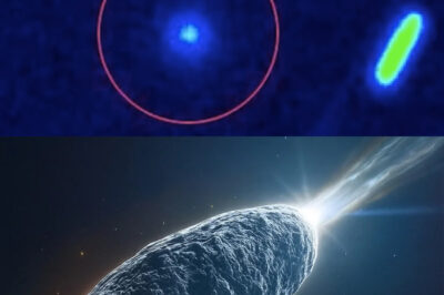 Did NASA Really Detect a Mysterious Radio Signal from Interstellar Comet 3I/ATLAS, and Why Is Michio Kaku Challenging Their Interpretation? Discover the Astonishing Details Behind the First-Ever Radio Transmission from a Visitor Beyond Our Solar System—Could This Be Evidence of Alien Technology, or Is There a Scientific Explanation That NASA Is Overlooking? Find Out What Divides Leading Physicists and Space Agencies, Why This Signal Has Sparked Worldwide Debate, and How the Truth Could Change Our Understanding of Life in the Universe Forever. Are We Truly Alone, or Is Contact Closer Than We Think?