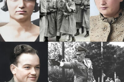 THE OLYMPIC CHAMPION THE NAZIS COULDN’T BREAK: Estella Agsteribbe’s Heartbreaking Final Moments in the Gas Chamber – The Gymnast Murdered Alongside Her Companions at Auschwitz.