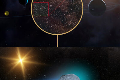 “MIT Scientist Captures Stunning Images of 3I/ATLAS — What He Reveals Next Will Terrify the World and Challenge Everything We Know About the Cosmos”