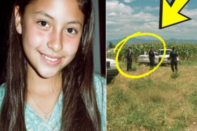 Unraveling the mystery of a girl who disappeared in a cornfield in 2003 — What a truck driver found two days later surprised everyone.