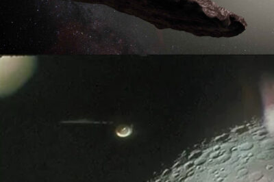 Unraveling the Mystery: Astronauts’ Claims of Terrifying 10-Foot Alien Beings Encountered During Secret Space Missions—Exploring the Shocking Truth Behind These Extraordinary Allegations and Their Implications for Our Understanding of Extraterrestrial Life and Government Secrecy in Space Exploration