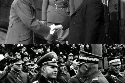 FROM THRONE IN WHEELCHAIR TO THE GANGING NOOSE: The execution that ended the reign of Prime Minister Vojtech Tuka in a wheelchair – The man who sent 68,000 Jews to their deaths.