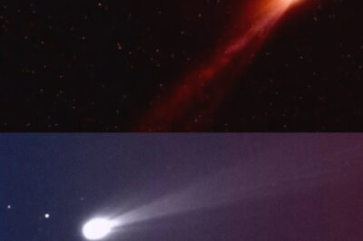 3I/ATLAS Just Increased Speed by 300%—Could This Be First Contact with an Extraterrestrial Civilization? The truth will take your breath away!