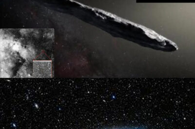 What Did China’s Mars Orbiter Actually See When It Captured High-Resolution Images of Mysterious Interstellar Visitor 3I/ATLAS—An Object Older Than Our Entire Solar System—and Why Are Scientists Worldwide Racing to Analyze This Data? Could These New Observations Reveal Hidden Clues About the Origins of Life, Ancient Star Systems, or Even the Possibility of Alien Technology Passing Through Our Cosmic Neighborhood? Discover the Latest Breakthroughs, International Rivalries, and Unanswered Questions That Could Transform Our Understanding of the Universe and Humanity’s Place Within It. Are We On the Brink of a Scientific Revolution?