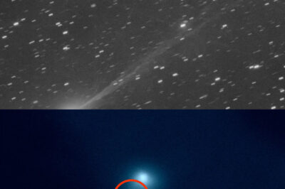 “NASA’s Press Conference on 3II/ATLAS: Unveiling the Interstellar Object’s Mysteries While Downplaying Anomalies and Controversial Findings That Could Challenge Our Understanding of Comets, as Scientists Like Dr. Avi Loeb Raise Concerns Over the Agency’s Messaging and the Implications of New Data That Suggests This Object May Not Be Just Another Ordinary Cosmic Visitor.”