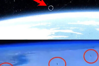 Shocking Footage from the International Space Station Reveals Hundreds of UFOs on a Potential Collision Course with Earth, Sparking Intense Speculation and Debate About Their Origins, Implications for Planetary Defense, and the Possibility of Extraterrestrial Life or Advanced Military Technology, Challenging Our Understanding of the Universe and Humanity’s Place Within It.