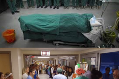 What Silent Tribute Did Dozens of Doctors and Nurses Pay to a 17-Year-Old Girl Whose Final Act Saved Multiple Lives in a Single Day? Discover the Heartbreaking Moment When Hospital Staff Lined the Hallway in Reverent Silence as an Organ Donor Was Wheeled Past, Her Family’s Last Wish Fulfilled, and Her Spirit of Kindness Echoed Through Every Life She Touched. How Does One Photograph Capture the Grief, Gratitude, and Heroism That Transcends Words—Proving That True Courage Isn’t Always Loud, but Sometimes Found in the Stillness of a Heart That Keeps Giving, Even After It Stops Beating?