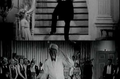 In a Florida Courtroom, Three Nightclub Dancers Put Society’s Double Standards on Trial: How a Bold Performance Challenged the Policing of Women’s Bodies, Exposed the Absurdity of “Indecency” Laws, and Became a Defiant Stand Against Shame, Control, and the Relentless Scrutiny Faced by Women Everywhere for How They Dress, Move, and Exist in Public Spaces.