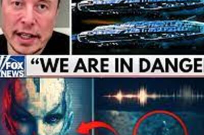 Urgent Global Warning: Chilling Alien Transmission Decoded by Top Scientists Shocks the World with a Dire Message to Humanity—“DON’T GO INTO SPACE… Humanity’s NEXT STEP could be its FINAL MISTAKE,” as Elon Musk Calls for Immediate Global Action Against an Unprecedented Disaster Threatening Earth’s Destruction and Urges a Reassessment of Space Exploration Plans
