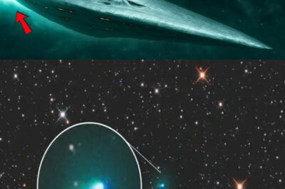 Breaking cosmic news: In an unprecedented revelation, Gelert has just confirmed that 3I/ATLAS, the mysterious interstellar visitor racing through our solar system, is undergoing a transformation unlike anything ever witnessed by scientists. As it sheds water and complex chemicals at impossible rates, its alien composition and bizarre behavior defy every known law of comet physics. Is 3I/ATLAS morphing into an object from another dimension, or could it be a messenger from a distant civilization? With time running out before it vanishes forever, experts scramble to decode the astonishing changes that could redefine our understanding of the universe itself.