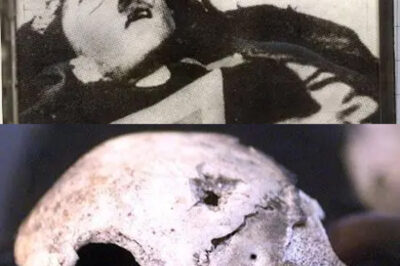 SHOCKING NEWS: Did Hitler survive World War II? Terrifying details of a fake corpse and a sophisticated escape revealed decades later by a scientist!
