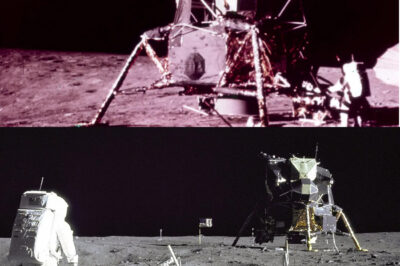 BREAKING: The Truth Behind the Viral “Astonishing Moon Footage” – Exploring the Origins, Debunking Myths, and Understanding the Impact of Advanced Imaging Technology on Our Perception of Lunar Features and Extraterrestrial Claims in the Age of Misinformation and Social Media Sensationalism