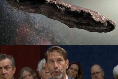 The army reveals its plan to destroy the 3I/ATLAS before it impacts Earth.