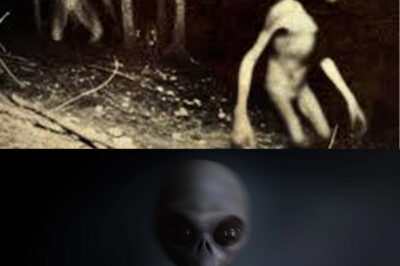 The world is reeling after multiple astronauts have come forward with jaw-dropping testimonies, revealing that during top-secret space missions, they encountered towering 10-foot-tall alien beings whose presence was both awe-inspiring and deeply terrifying; these shocking claims, kept hidden from the public for years, describe chilling face-to-face meetings with extraterrestrial entities that defy all scientific explanation, forcing us to question everything we thought we knew about life beyond Earth and igniting a global debate about the true extent of the universe’s mysteries and the secrets that space agencies may still be hiding from humanity.