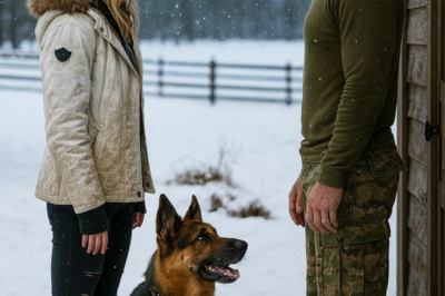 “The Abandoned Farmhouse and the Secret It Kept: A Former Navy SEAL’s Unexpected Discovery”