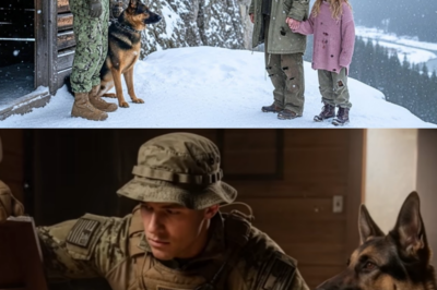 A Navy SEAL and His K9 Inherited a Mountain Cabin — Then Found a Sacred Secret Buried in the Snow