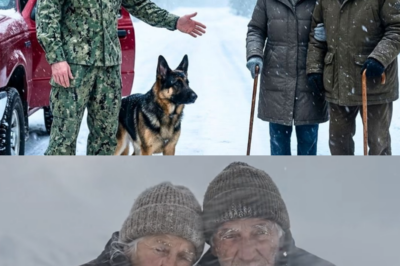 “Get In the Truck…” the Ex-Navy SEAL Said — After Finding the Elderly Couple Lost in the Blizzard