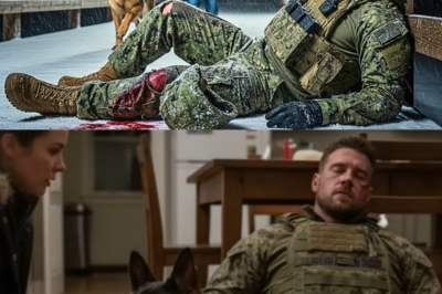 Pregnant Widow and Her K9 Save a Wounded Navy SEAL — What Happens Next Will Leave You Stunned