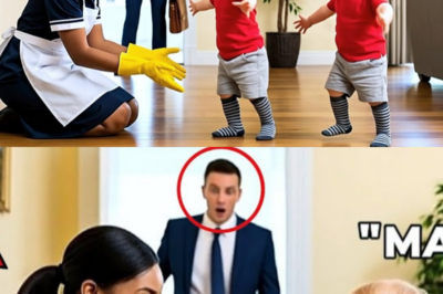 Billionaire’s Twins Were Born Paralyzed and Couldn’t Speak — What He Saw the Maid Doing Shocked Him