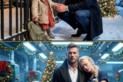 The Light on the Ridge