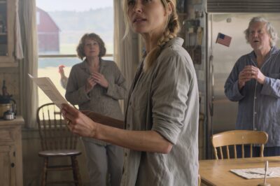 A 3,000–5,000 word dramatic short novel inspired by true American farm life