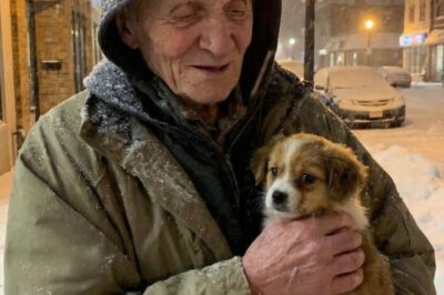 A Man Asked Me to Watch His Dog and Gave My Broken Family Something We Did Not Know We Needed