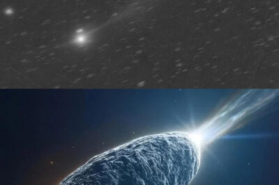 “The Astonishing Revelation That 3I/ATLAS Is Not a Comet Challenges Fundamental Assumptions in Astronomy, Prompting Experts to Reassess Its Nature and Significance for Understanding Interstellar Objects and the Universe’s Diversity.”