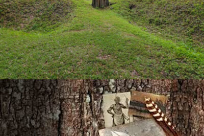 Scientists Uncover the Disturbing Truth Behind the Roanoke Colony Mystery in 2025, Revealing That the Disappearance of 115 Settlers May Have Involved Integration with Indigenous Tribes, Challenging Centuries of Historical Beliefs and Offering a New Perspective on Early American History and the Complex Relationships Between European Colonists and Native Peoples.