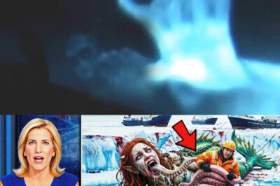 “The Greenland Mermaid Footage That Terrified Researchers and Rewrote Ocean Legends: Unraveling the Haunting Mystery Behind the Viral Video and Its Impact on Science, Folklore, and Our Understanding of Marine Life.”