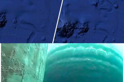 A Massive Structure Detected Beneath the Seafloor Raises Alarm Among Experts, Challenging Existing Geological Theories and Sparking Debates About Its Origin and Implications for Understanding Earth’s History