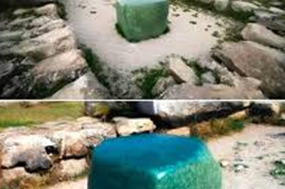 Scientists Finally Unravel the Mystery of the Green Stone of Hattusa, Revealing Its Shocking Origins, Cultural Significance, and Role in Hittite Trade Networks, While Uncovering Intricate Carvings That Provide Insight into Ancient Religious Practices and the Sophisticated Society of the Hittite Empire, Highlighting the Cross-Cultural Interactions That Shaped Their Civilization and Offering a Rare Glimpse into the Daily Lives and Beliefs of a Powerful Ancient Culture