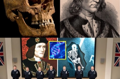 Richard III’s DNA Discovery: How Genetic Analysis Transformed Our Understanding of Royal Bloodlines and Historical Legitimacy