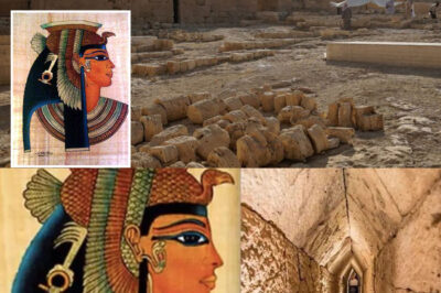 Cleopatra’s Tomb Discovered: Unveiling Artifacts That Redefine Her Legacy and Challenge Historical Narratives About Her Role as a Powerful Ruler in Ancient Egypt