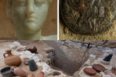 Unveiling the Truth: How Recent Archaeological Discoveries and Forensic Science Have Finally Revealed Cleopatra’s Real Face After 2,000 Years of Myths and Misrepresentations, Challenging Our Perceptions of Her Beauty and Power, and Transforming Our Understanding of One of History’s Most Iconic Figures as a Complex Leader Beyond the Seductive Image Often Portrayed in Art and Literature.