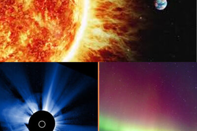 Significant Sunspot Region Produces Coronal Mass Ejection (CME) Directed Partially Toward Earth, Prompting NOAA to Issue G2 Geomagnetic Storm Watch for December 3–4 Following X1.9-Class Solar Flare, Indicating Potential Enhanced Auroras and Limited Impacts on Power Infrastructure and Satellite Operations as Fringe Material Intersects with Earth’s Magnetosphere.