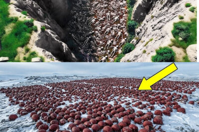 Unveiling the Secrets of the Past: How a Revolutionary Drone Discovery Exposed Hidden Ancient Sites, Terrifying Experts with the Implications of Their Findings and Raising Urgent Questions About the Preservation of Cultural Heritage in the Face of Modern Technology, While Highlighting the Ethical Responsibilities of Archaeologists to Protect These Newly Revealed Treasures from Looting and Vandalism in a Rapidly Changing World.