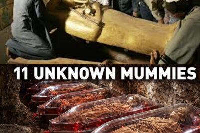 Unveiling the Dark Secrets Beneath the Valley of the Kings: How the Discovery of 11 Lost Mummies Challenges Our Understanding of Tutankhamun’s Burial Practices and Reveals Insights into the Turmoil of Ancient Egypt During the Reign of the Young Pharaoh, Highlighting the Chaotic Nature of Funerary Customs and the Impact of Political Instability on the Burial of One of History’s Most Famous Kings.