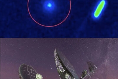 NASA QUIETLY ACTIVATES DEFENSE SYSTEMS FOR INTERSTELLAR OBJECT 3I/ATLAS WITHOUT PUBLIC ANNOUNCEMENT, RAISING SIGNIFICANT QUESTIONS ABOUT POTENTIAL RISKS AND THE IMPORTANCE OF PLANETARY DEFENSE AS THIS UNUSUAL CELESTIAL BODY CONTINUES ITS JOURNEY THROUGH OUR SOLAR SYSTEM, SPARKING CONCERNS AMONG SCIENTISTS AND ASTRONOMERS ALIKE.