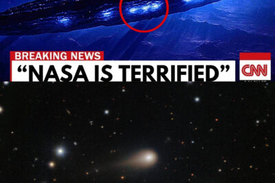 James Webb Space Telescope Detects Unprecedented Biological Signatures on 3I/ATLAS, Indicating Possible Life Forms and Metabolic Activity, Leading to Astonishing Late-Night Briefings at NASA as Researchers Freeze in Shock Over Movement Detected Within the Object, While 3I/ATLAS Continues Its Approach Toward the Inner Solar System, Bringing Its Mysteries and Potential Life Closer to Earth Than Ever Before — A Groundbreaking Discovery That Could Redefine Our Understanding of Life Beyond Our Planet.